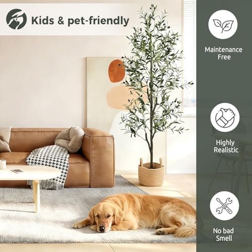 Olive Trees Artificial Indoor 6FT, Faux Olive Tree with Woven Basket & Natural-Looking Wood Trunk, Realistic Leaves & Fruits, Maintenance-Free Tall Fake Olive Tree for Modern Home Office Decor