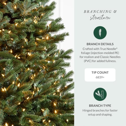 Balsam Hill BH Fraser Fir - Full Christmas Tree with Most Realistic True Needle Foliage, Easy Plug Technology & Multiple Height and Lighting Options, LED Clear, 12ft