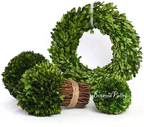 Preserved Boxwood Wreath, 11 Inches, Green Wreath for All Seasons Indoor Use Suits for Wedding, Christmas, Halloween, Valentine's Day