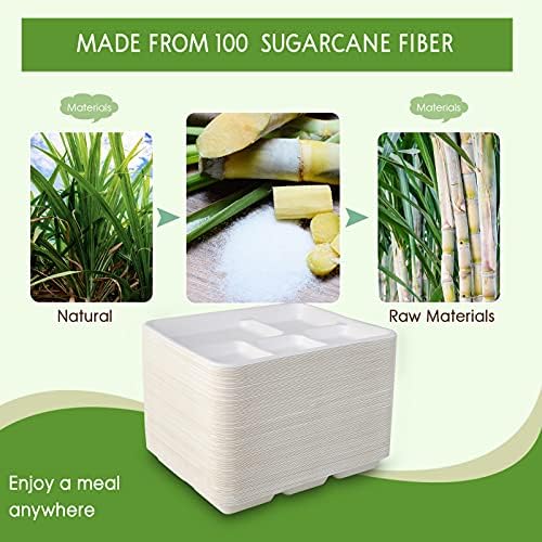 Vplus 125 Pack 5 Compartment Plates, Compostable Plate, 10.2x8.5 inch