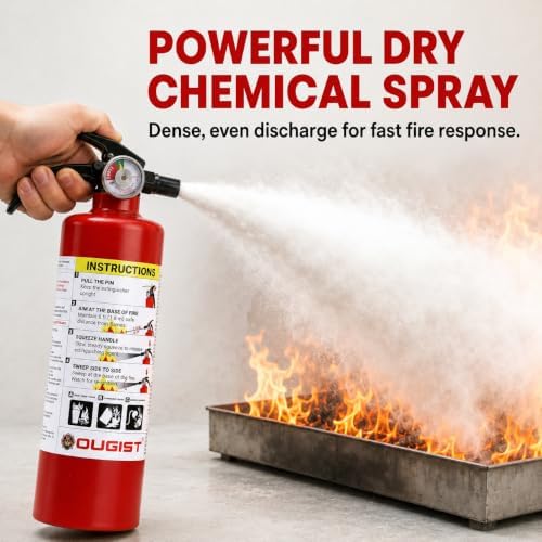 OUGIST ABC Fire Extinguisher, 2.5 lb Dry Chemical, 1A:10B:C Rated Multipurpos...