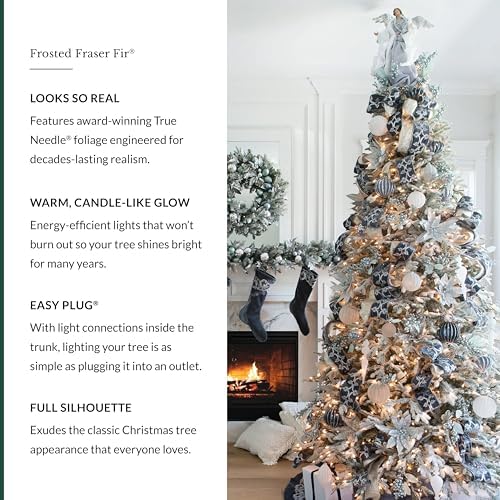 Balsam Hill BH Frosted Fraser Fir - Snow-Covered Artificial Christmas Tree with True Needle Foliage, Easy Plug Technology & Winter Magic Design, LED Clear, 9ft