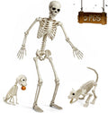 5.4FT Life Size Skeleton with Cat Dog, Plastic Skeleton for Halloween Decor
