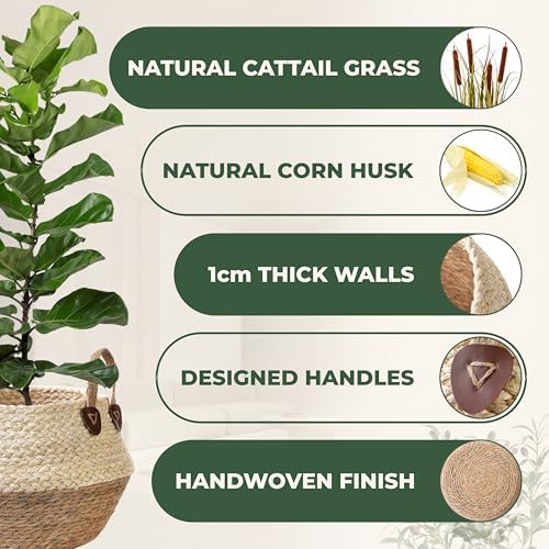 Pot for Artificial Tree Indoor (10" D x 12" H, Woven Plant Basket, Large)