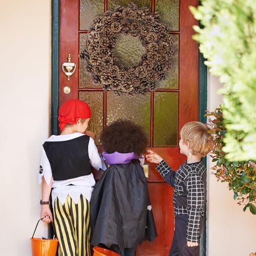 18 Inch Fall Wreath for Front Door Full Artificial Pinecone Wreath
