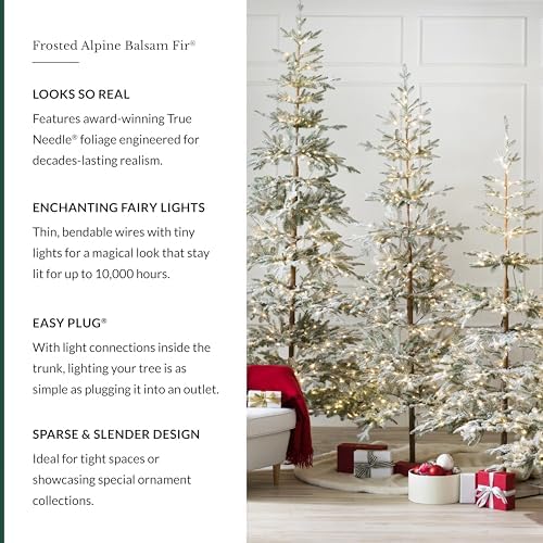Balsam Hill Frosted Alpine Balsam Fir - Snow-Kissed Artificial Christmas Tree with Pre-Fluffed Memory Wire Branches and LED Clear Fairy Lights, 12'