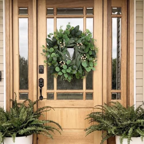 24 Inch Eucalyptus Wreath for Front Door, Fall Decor with White Berries