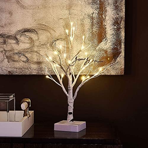 Hairui Pre-lit Tabletop Birch Tree with Timer 24LED 18IN Battery Operated for Christmas Father's Day Party Decoration 2 Sets