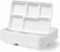 Large 5-Compartment Plate Disposable(12.5"x8.5"), 100 Plates, Disposable Paper Tray, Compostable Divided Dinner Plates, Paper Tray for Food and Party
