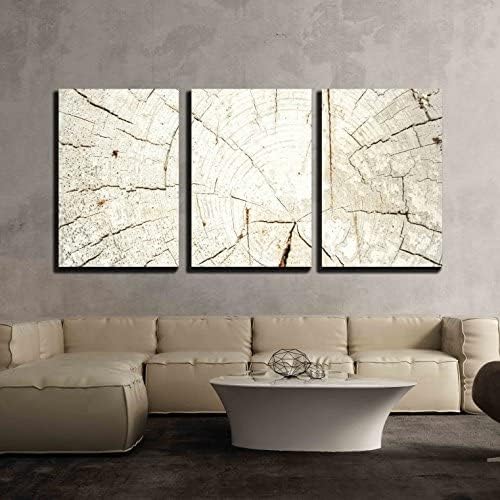 wall26 3 Piece Canvas Wall Art Natural Weathered Grey Tree Stump Cut Texture, Large Detailed Background - Modern Home Art Stretched and Framed Ready to Hang - 24"x36"x3 Panels