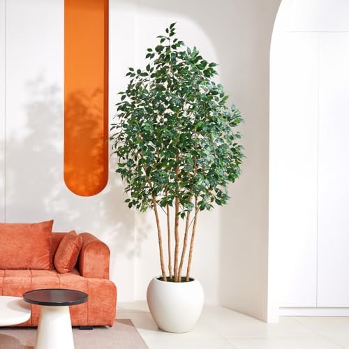 VeriNatural 8ft Artificial Ficus Tree with White Plante&Real Wood Trunks