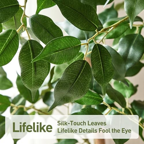 VeriNatural 8ft Artificial Ficus Tree with White Plante&Real Wood Trunks