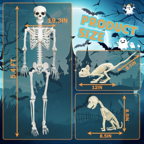 5.4FT Life Size Skeleton with Cat Dog, Plastic Skeleton for Halloween Decor