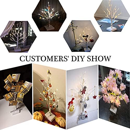Hairui Pre-lit Tabletop Birch Tree with Timer 24LED 18IN Battery Operated for Christmas Father's Day Party Decoration 2 Sets