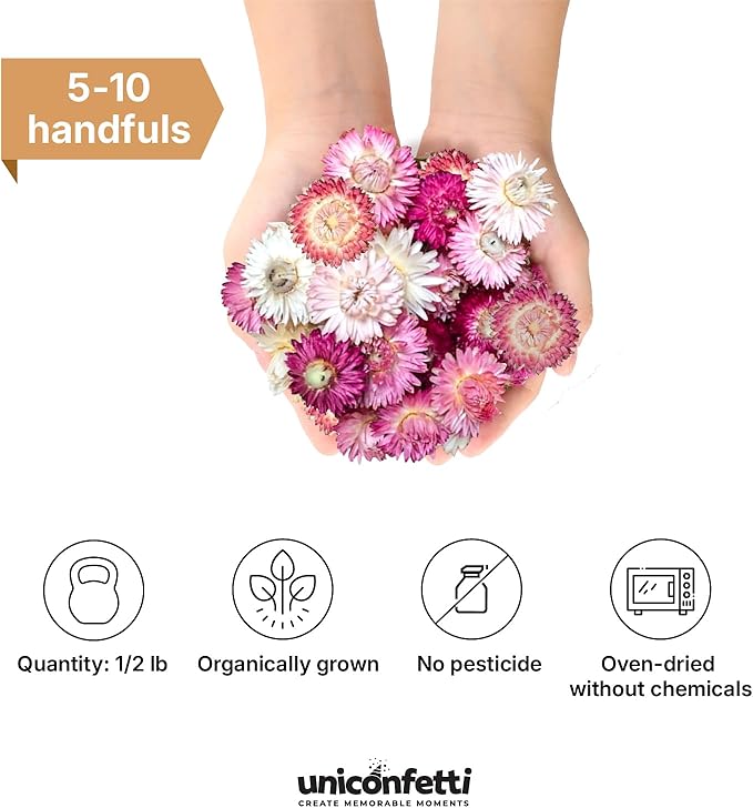 Dried Flower Pink Straw Daisy Biodegradable Confetti - Real Flower Petals for Weddings, Flower Girl Toss, Wedding Send Off Ideas, Party Table Decoration | Boxed - 8oz (0.5lbs)