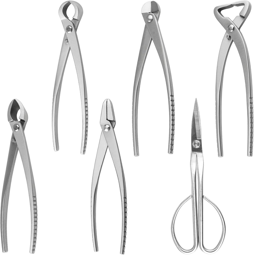 6 PCS Bonsai Pruning Tool Set, 6 Different Roles of Scissors to Meet All the ...