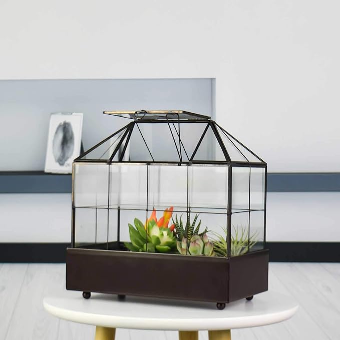 Large Tall Plant Terrarium Glass Greenhouse with Lid and Tray, Indoor Tabletop Orchid Succulent Cacti Kit 9.5'X9.8'X5.6'