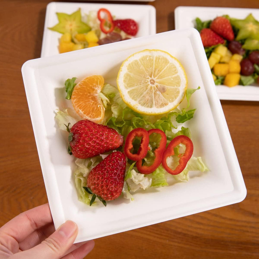 LIYH 200 Pack 6 Inch Compostable Sugarcane Square Small Paper Plates – Biodeg...