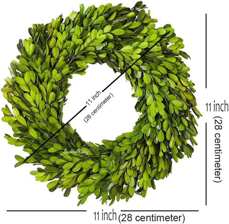 Preserved Boxwood Wreath, 11 Inches, Green Wreath for All Seasons Indoor Use Suits for Wedding, Christmas, Halloween, Valentine's Day