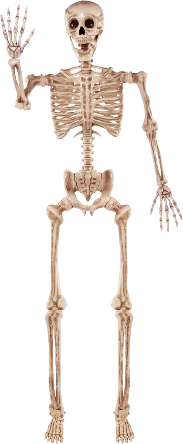 JOYIN 5.6 FT Halloween Posable Life Size Skeleton, Full Body Realistic Bones with Movable Joints, Giant Skeletons Halloween Decorations for Indoor Outdoor Haunted House Props, Spooky Scene Party Decor