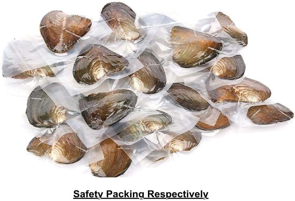 love wish 50pcs freshwater round pearls in oysters, package contents
