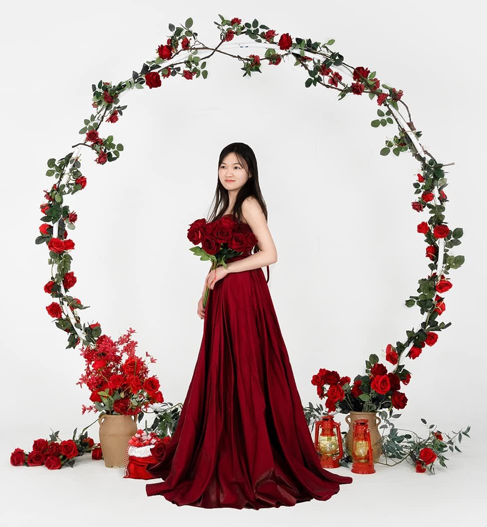 Round Backdrop Stand Circle Arch, 6.5ft White Metal Balloon Arch Kit for Part...