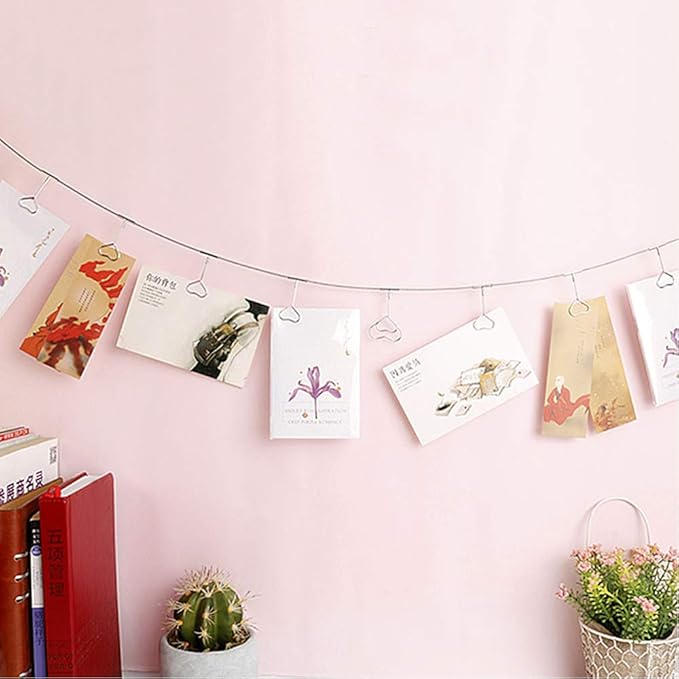 Multi-Purpose Steel Wall Hanging Photo Display Cable Wire Rod String with 12 Clips for Hanging Photos Notes and Artworks (Heart Shape Clip)