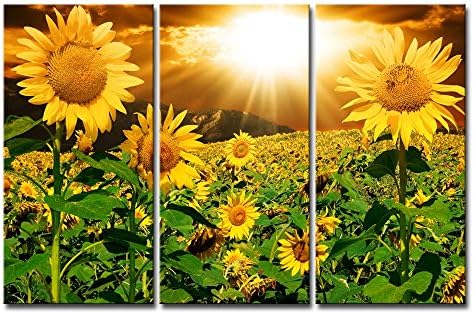 Sunflower Wall Art Canvas Print Sunrise Picture, 3 Piece Flower Wall Decor
