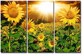 Sunflower Wall Art Canvas Print Sunrise Picture, 3 Piece Flower Wall Decor