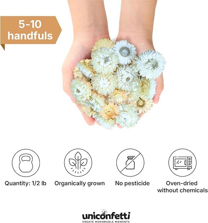 Dried Flower White Straw Daisy Biodegradable Confetti - Real Flower Petals for Weddings, Flower Girl Toss, Wedding Send Off Ideas, Party Table Decoration | Boxed - 8oz (0.5lbs)