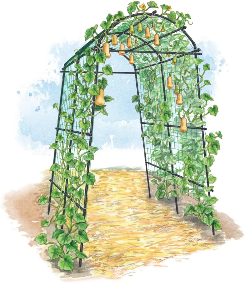 Gardener’s Supply Company Extra Tall Garden Arch Arbor | 80 Inch Tall Titan S...