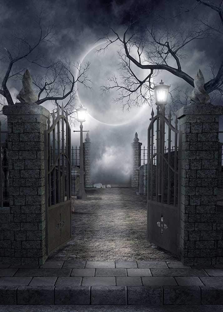 INRUI Halloween Cemetery Full Moon Haunted Photography Backdrop (8x10FT)
