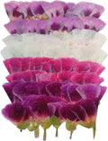 48 Pcs Dried Pressed Flowers for Crafts Art Resin DIY Natural Dry Floral Epoxy Jewelry Real Flower with Leaves Plants Decor Cakes Phone Cases Bookmarks Candles Handmade Soap Farewell