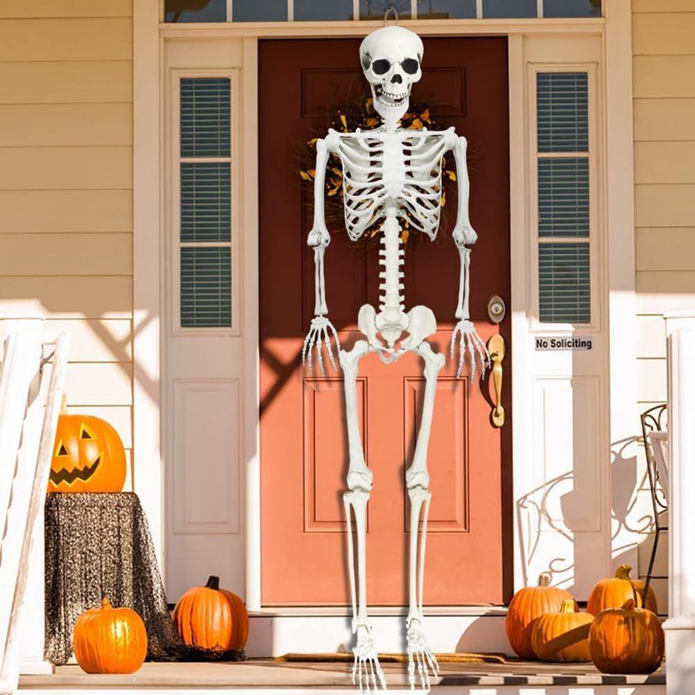 5.9FT Skeleton Halloween Full Size, Life Size Skeleton with Posable Joints
