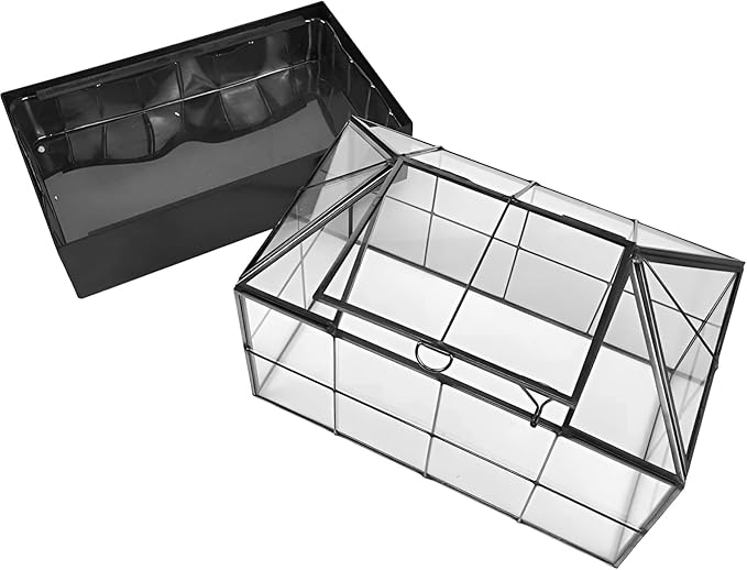 Large Tall Plant Terrarium Glass Greenhouse with Lid and Tray, Indoor Tabletop Orchid Succulent Cacti Kit 9.5'X9.8'X5.6'