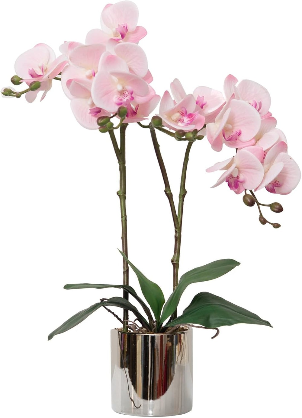 CXGS Artificial Orchid Flower Plant 19.7'' Real Touch Faux Orchids in...