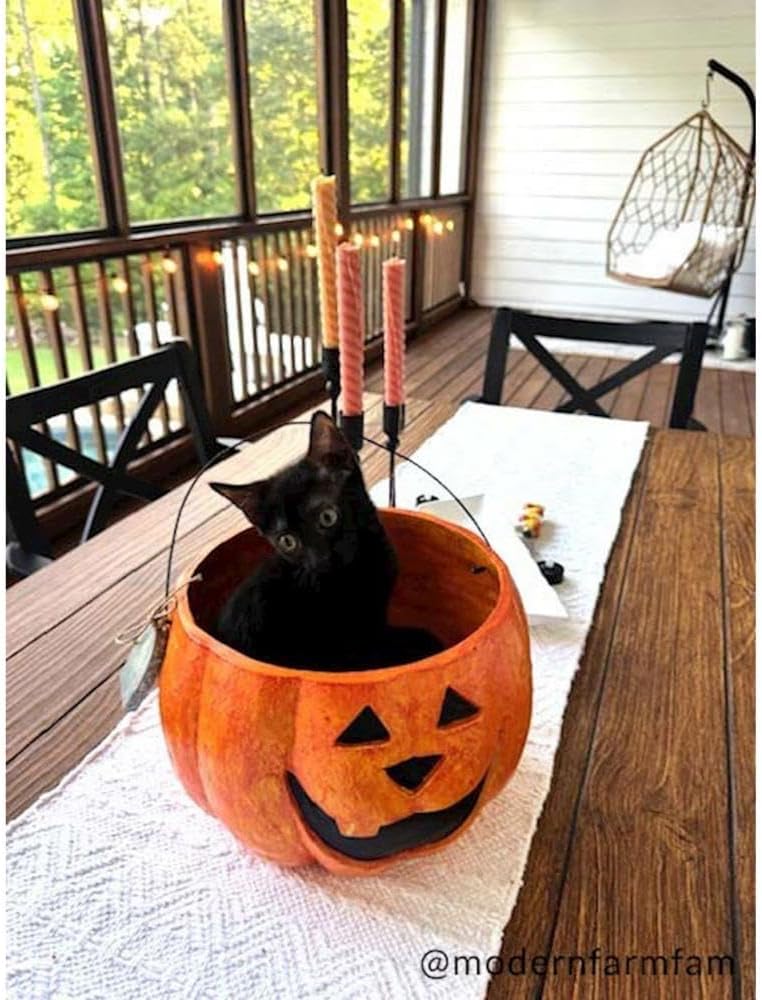 Mud Pie Paper Mache Pumpkin Treat Buckets, Set of 2 Halloween Candy Pails
