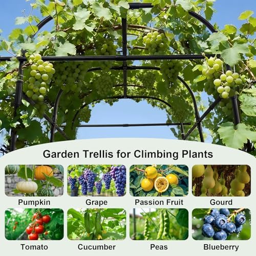 GOJAWAY 7*5.4* 5FT Arch Metal Garden Trellis,Outdoor Climbing Support Frame
