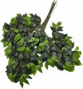 12pcs Artificial Olive Leaves Green Foliage Stems Waterproof for Outdoor Indoor Greenery Wall Floral Decoration Landscape Tree Making