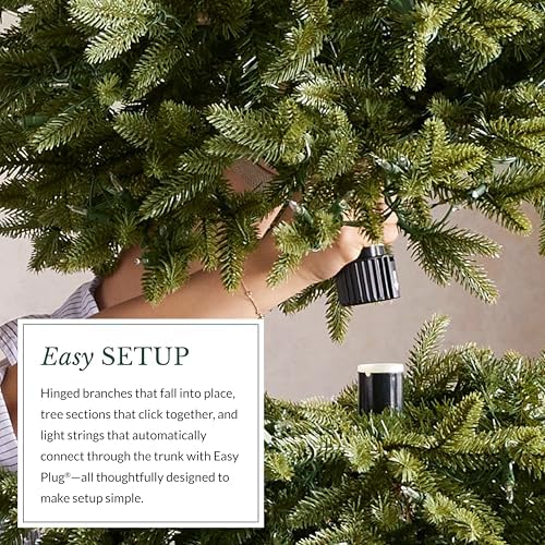 Balsam Hill 7.5ft Pre-Lit Berkshire Mountain Fir - Slim Artificial Christmas Tree with 500 Clear LED Lights, Easy Plug Technology & Premium Stand for Large Spaces