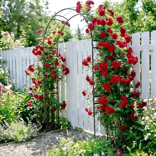 SCENDOR Metal Garden Arch with Lattice Side Panels 88.6" H x 50.8" W– Heavy-Duty Arbor for Climbing Roses, Vines, and Outdoor Patio, Lawn, Backyard, Wedding Decor (Black)