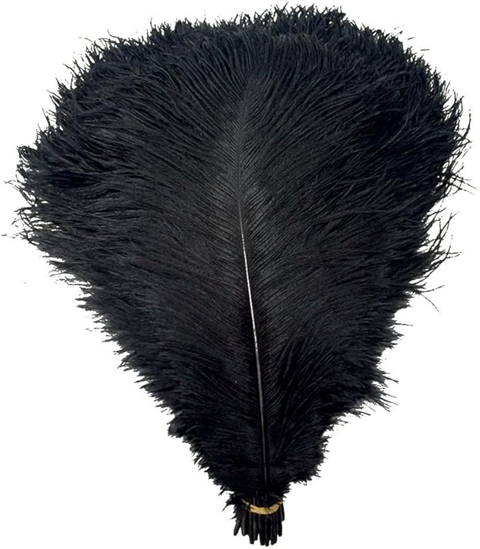 KOLIGHT 40pcs 12''~14''(30~35cm) Natural Ostrich Feathers for DIY Home Wedding Party Office Decoration (Black)