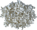 100 PCS Small Puakenikeni (02) Clay Beads for Jewelry Making DIY Craft Supplies (White)