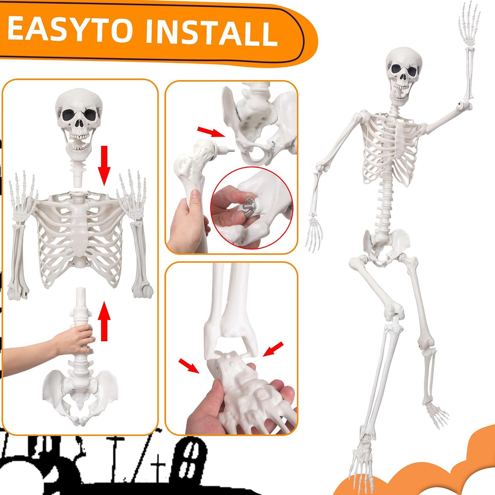 Lodou 5.9Ft/180cm Life Size Giant Skeleton Poseable Plastic Skeleton for Hall...