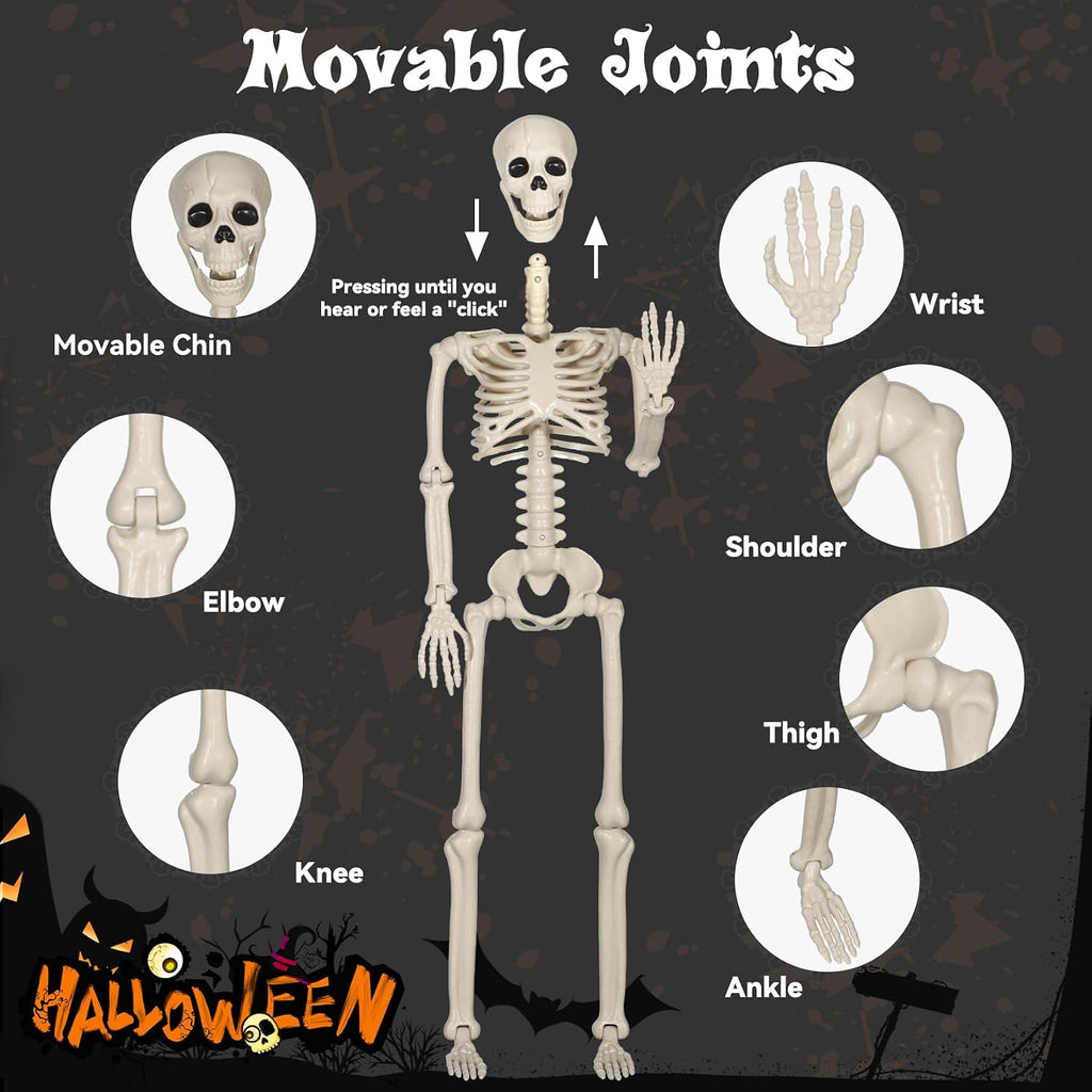 2 Pack 36" Skeleton Halloween Decorations,3Ft Plastic Posable Skeleton with Movable Joints,with 20 Spiders & Spider Webs for Halloween Party Decorations,Yard Haunted House Props Indoor Outdoor Decor