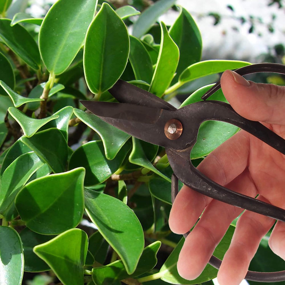 BambooMN Bonsai Basics Set - 8" Concave Cutter, 7" Heavy Duty Shear...