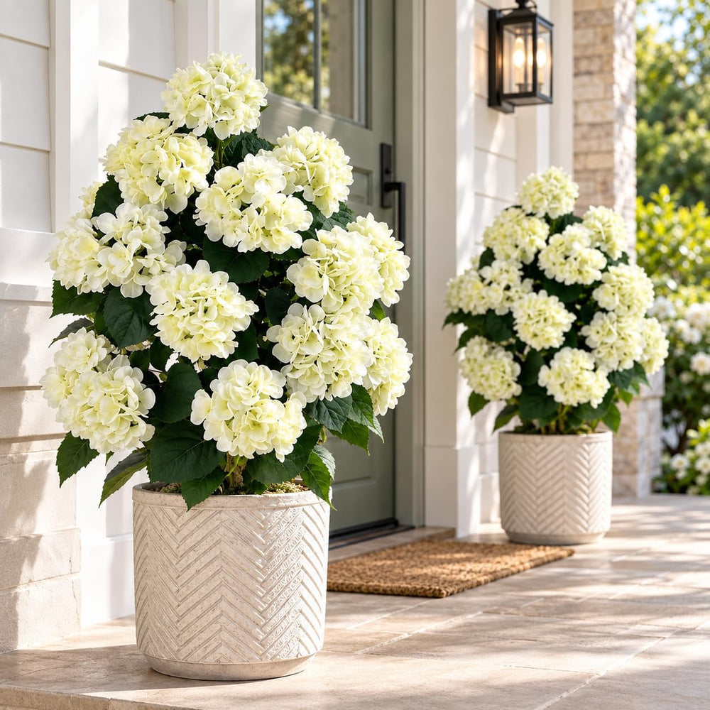 2Pack Artificial Hydrangea Tree Outdoor