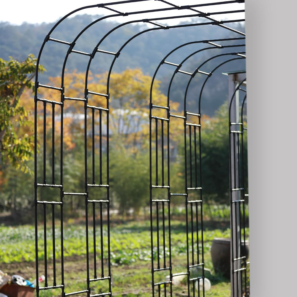 Half Arch Trellis - Garden Arch Trellis Size: 24in(L)*94.5in(H)