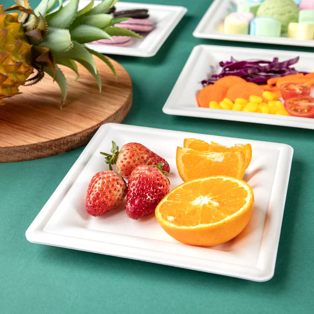 LIYH 200 Pack 6 Inch Compostable Sugarcane Square Small Paper Plates – Biodeg...