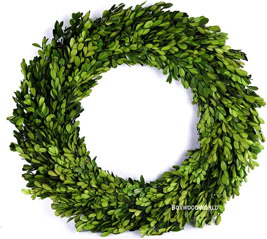 boxwood wreath large 17 inch preserved nature real shown in use